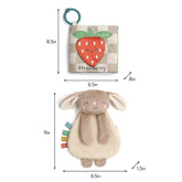 *Itzy Ritzy Itzy Learn & Snuggle Gift Set